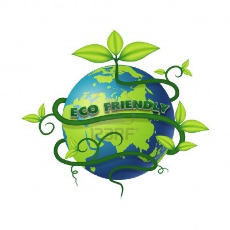 Innovative Art Project Aims to Turn School Waste into Environmental Awareness
