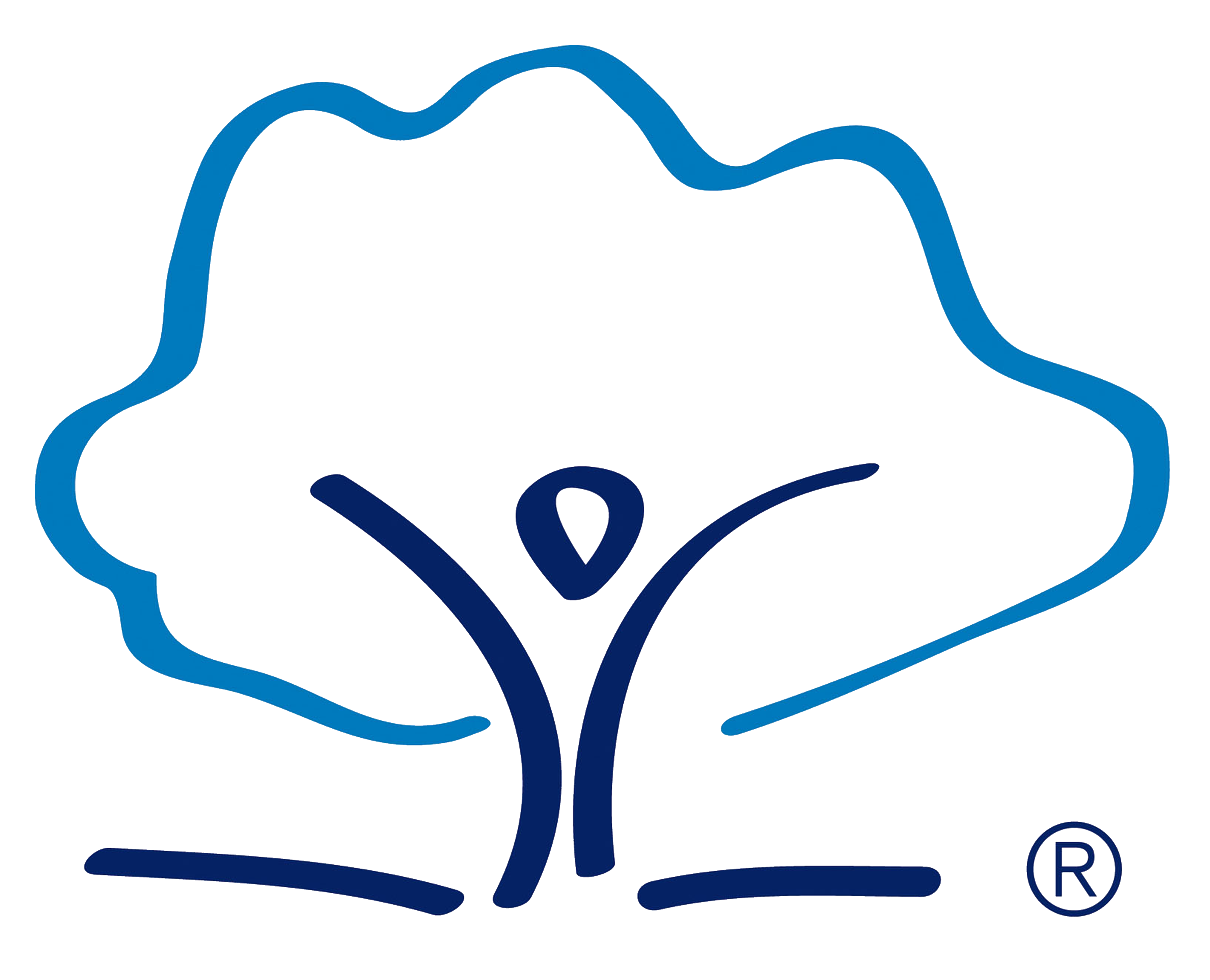 United Learning Curriculum website