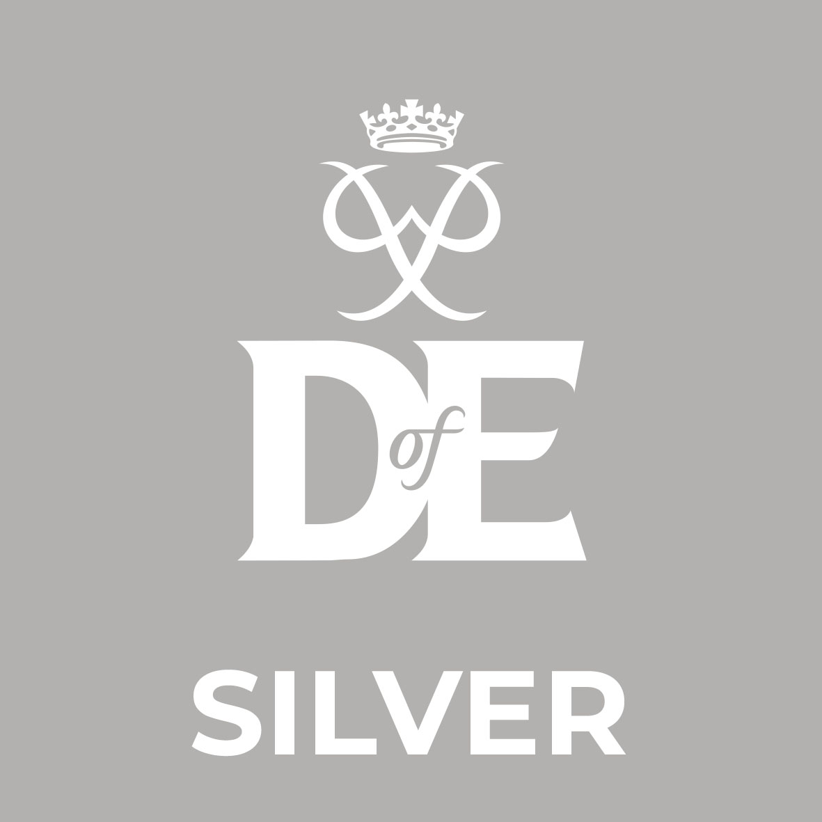 Silver Award